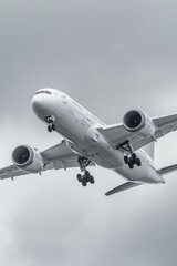 Wall Mural - A large commercial airliner flying high in the clouds, ideal for aviation and travel-themed projects