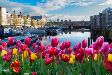 Wall Mural - facades of old historic houses over canal water, amsterdam, netherlands