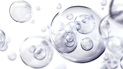Wall Mural - cg transparent bubble cluster: a cluster of transparent cg bubbles, varying in size, floating on a w