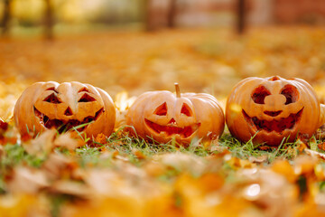 Three carved pumpkins with cheerful faces surrounded by autumn leaves in a vibrant forest setting during the fall season. Holidays, decoration concept.