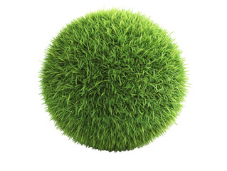 Green grass sphere on a white background. PNG transparent.