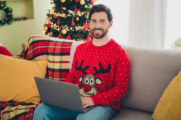 Sticker - Photo of nice young man ugly sweater use laptop christmas atmosphere apartment indoors