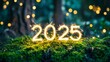 © Halina Berah - 2025 written with sparkling letters, light background, happy new year 2025 concept