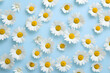 © Umar - Scattered White Daisies with Yellow Centers on a Bright Blue Background: A Cheerful Floral Pattern'