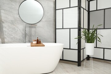 Poster - Folding screen, bathtub, houseplant and mirror in bathroom. Interior design