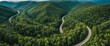 © Margarita - Winding road through green summer forest. Top view, sunrise, pink sky. AI generated.