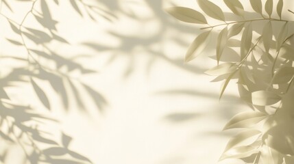 Wall Mural - Abstract Shadow of Leaves on White Background.