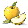 © creativenergy.it - Classic fruit illustration of yellow apples, one whole and one cut in half. Hand-drawn with black ink and colored with watercolor, transparent background