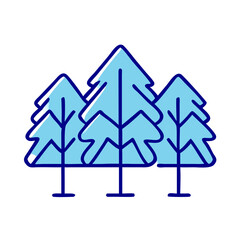 Three blue pine trees, forest conservation and environmental concept