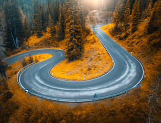 Wall Mural - aerial view of wet curvy road and orange forest in golden autumn. dolomites, italy. top view of wind