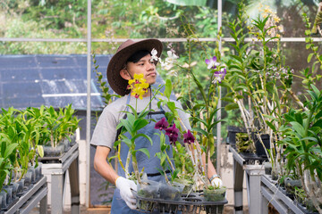 A young Asian farmer is showing his flower garden and orchid plants, the concept of modern agriculture and plantations