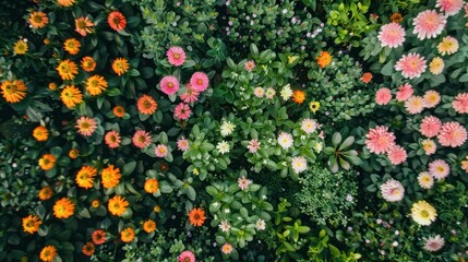 Canvas Print - Vibrant Garden of Pink and Orange Flowers