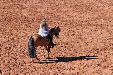 Wall Mural - mulher cavalgando em arena rural 