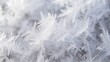© Anak - Intricate Ice Crystals