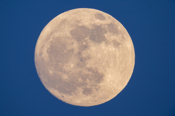 Wall Mural - photograph of the full moon taken with a reflex camera