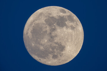 Wall Mural - photograph of the full moon taken with a reflex camera
