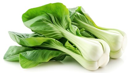 Wall Mural - Fresh Bok Choy