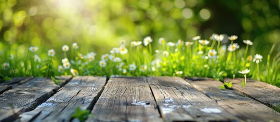 Sticker - Wooden Table With Green Spring Background