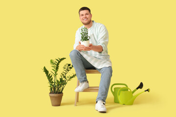 Canvas Print - Young handsome man with houseplants on yellow background