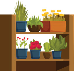 Wall Mural - Variety of houseplants are arranged neatly on a wooden shelf