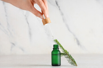 Wall Mural - Female hand with bottle of essential oil and fir branch on light background