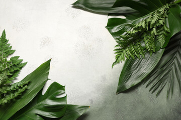 Wall Mural - Different green tropical leaves on grunge background