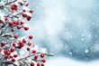 © InfiniteStudio - Beautiful winter Christmas background showcasing snow-covered branches with bright red berries against a soft blue sky
