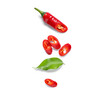 © Pixel-Shot - Chopped hot chili pepper on white background. Top view