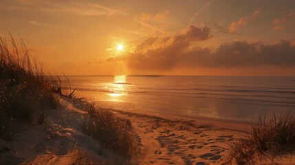 Sticker - Golden Sunset Over a Sandy Beach