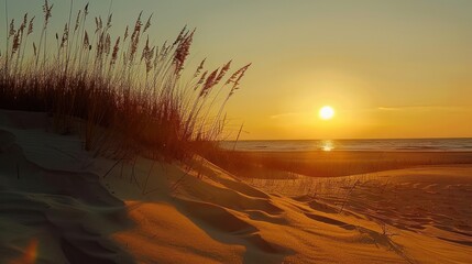 Canvas Print - Golden Hour Sunset Over Sandy Beach