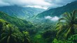© NfL - landscape with tropical