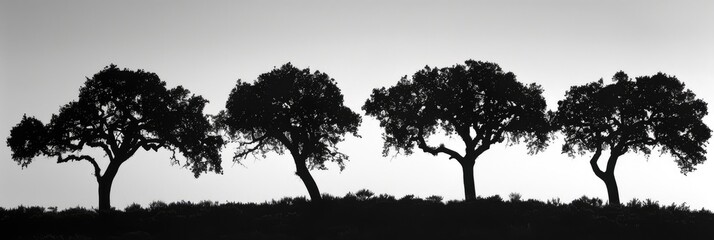 Poster - Silhouetted Oak Trees in a Natural Setting