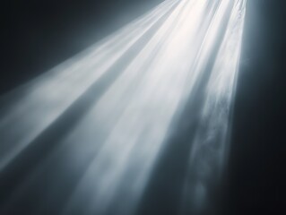 Wall Mural - light rays