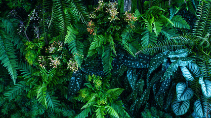 Wall Mural - Full Frame of Green Leaves Pattern Background, Nature Lush Foliage Leaf Texture, tropical leaf.