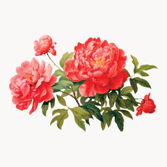 Canvas Print - Vibrant peony flowers illustration