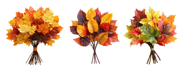 Wall Mural - Three bouquets of autumn leaves isolated on transparent background