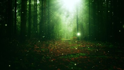 Wall Mural - Magical green colored sunny forest path with flying flickering fireflies and sun rays.