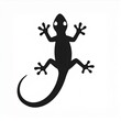 © Nicole - gecko black icon isolated on white