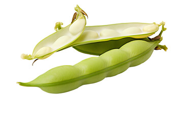 Freshly harvested fava bean isolated on transparent background for culinary design projects and health-themed illustrations featuring organic vegetables and plant-based nutrition