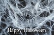 © Nico - Spider Web Collage: Images of intricate spider webs with spiders crawling. The text 'Happy Halloween' in a delicate, web-themed font across the bottom