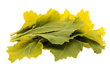 Wall Mural - fresh mustard leaves isolated on transparent background, high-quality png for food and culinary desi