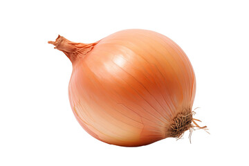 Fresh whole onion isolated on transparent background, high-quality PNG image for culinary and graphic design projects, ideal for recipes, food blogs, and kitchen-themed visuals