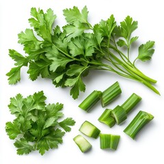 Fresh green parsley sprigs isolated on white background