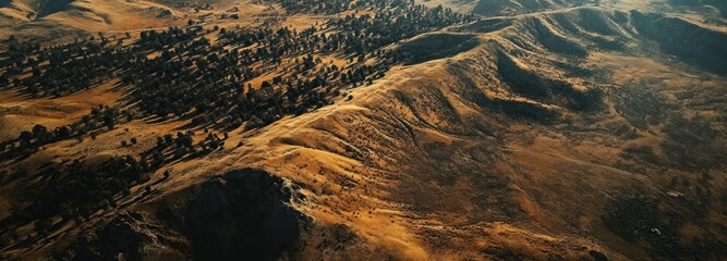 Wall Mural - Aerial View of a Mountain Ridge with Trees and Shadows