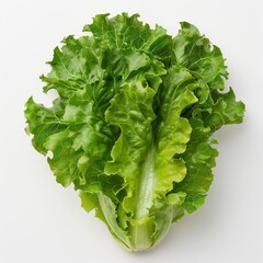 Wall Mural - a close up of a leafy green vegetable