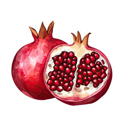 Wall Mural - Rich pomegranate with deep red watercolor seeds