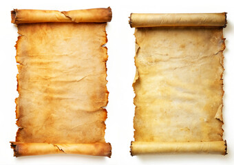vintage parchment scroll for text or design