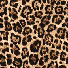 Wall Mural - leopard fur texture