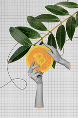 Wall Mural - Vertical photo collage of hand hold bitcoin money penny growth branch cryptocurrency trader agriculture isolated on painted background