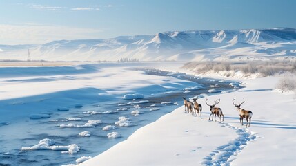 Wall Mural - Enter a world of frozen wonder with the Frozen Tundra, where the beauty of winter is on full display. 
